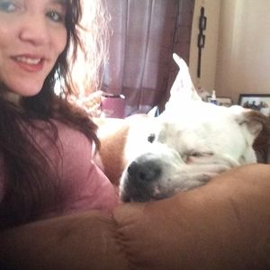 Meet your Posher, Spring